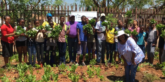 Primedia Outdoor Food Gardens Bear Fruit