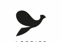 Loeries Official Rankings Reveal The Most Creative Brands And Agencies Delivering Innovation Loeries Official Rankings Reveal The Most Creative Brands And Agencies Delivering Innovation