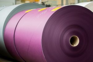 The Weight of the Word- How Paper Carries Our World