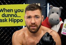 Hippo Announces Refreshed Brand Identity Hippo Announces Refreshed Brand Identity