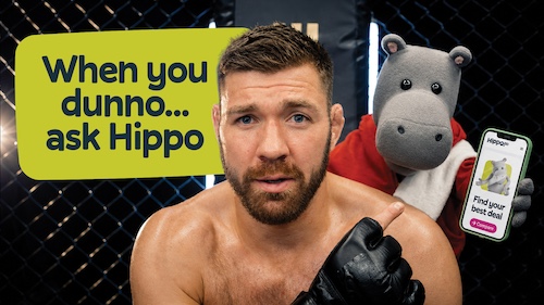 Hippo Announces Refreshed Brand Identity Hippo Announces Refreshed Brand Identity
